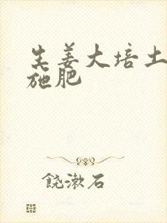 生姜大培土怎样施肥