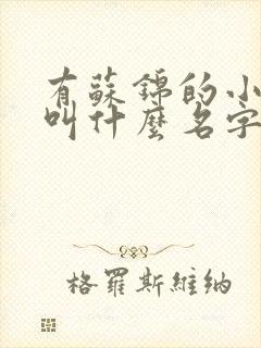 有苏锦的小说是叫什么名字