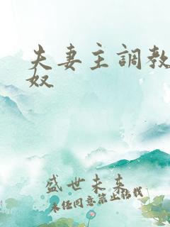 夫妻主调教夫妻奴