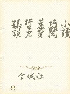 孙哲叶巧小妈小说免费阅读