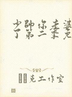 少帅你老婆又跑了第二季免费全集
