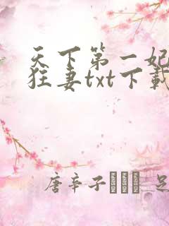 天下第一妃神医狂妻txt下载