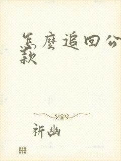 怎么追回公司欠款