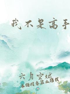 我不是高手李凡