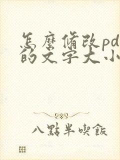 怎么修改pdf的文字大小