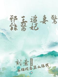 邪王追妻惊世全能医妃