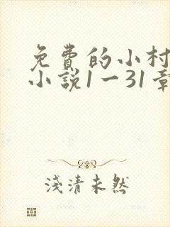 免费的小村圣医小说1一31章
