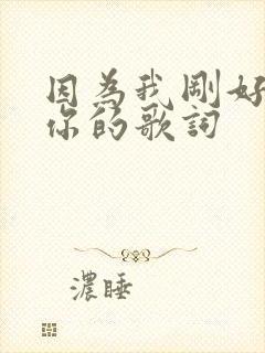因为我刚好遇见你的歌词