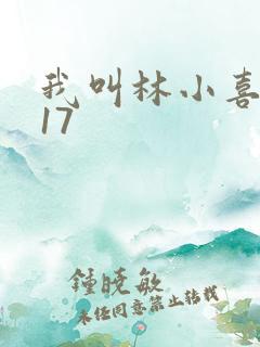 我叫林小喜今年17
