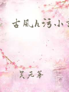古风h污小说