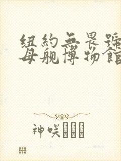 纽约无畏号航空母舰博物馆
