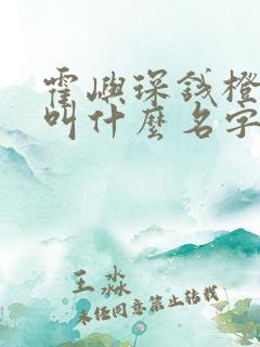 霍屿琛钱橙小说叫什么名字