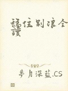 稳住别浪全文阅读