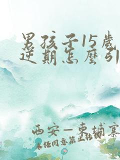 男孩子15岁叛逆期怎么引导