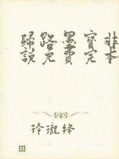 归路墨宝非宝小说免费完本