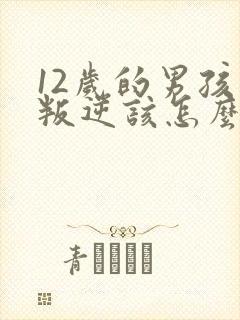 12岁的男孩子叛逆该怎么办