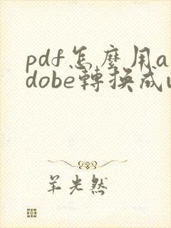 pdf怎么用adobe转换成word