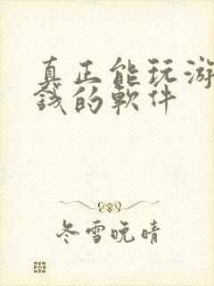 真正能玩游戏赚钱的软件