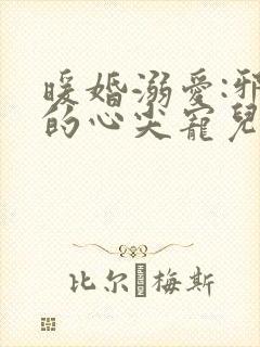 暖婚溺爱:邪少的心尖宠儿