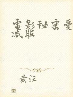 电影秘密爱无删减版