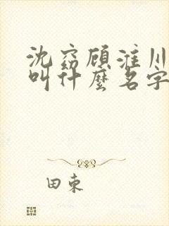 沈窈顾淮川小说叫什么名字