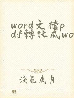word文档pdf转化成word文档