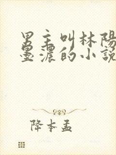男主叫林阳,秦墨浓的小说