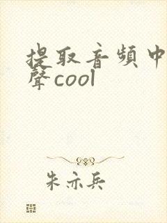 提取音频中的人声cool