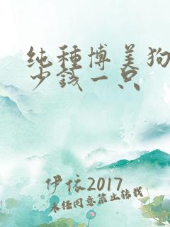 纯种博美狗狗多少钱一只
