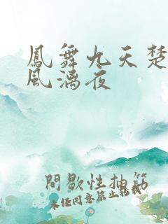 凤舞九天楚倾歌风漓夜