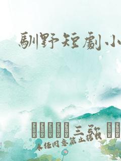 驯野短剧小说