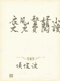 夜风赘婿小说全文免费阅读