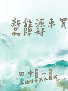 新能源车买哪个品牌好
