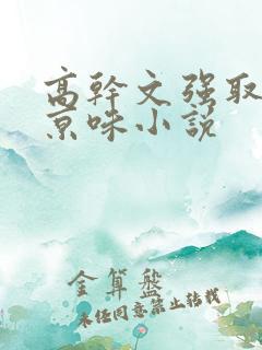 高干文强取豪夺京味小说