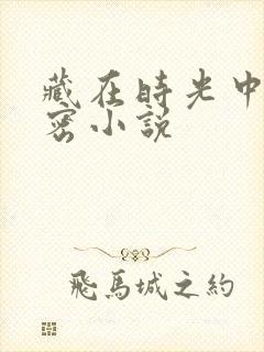藏在时光中的秘密小说