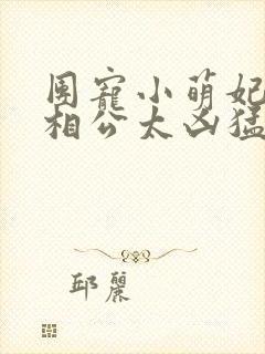 团宠小萌妃王爷相公太凶猛全集txt