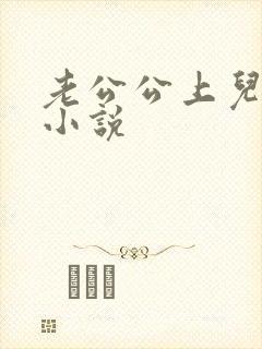 老公公上儿媳妇小说