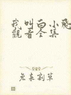 我叫白小飞免费观看全集