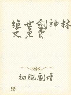 绝世剑神林辰全文免费