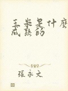玉米是什么时候成熟的