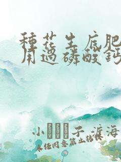 种花生底肥可以用过磷酸钙吗