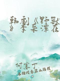 韩剧《野兽风云》李采潭在线看