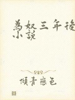 为奴三年后乔念小说