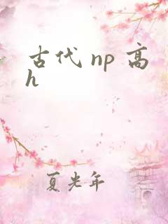 古代 np 高h