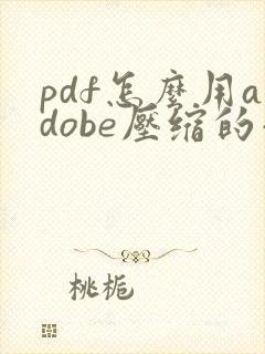 pdf怎么用adobe压缩的小一点