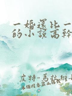 一婚还比一婚高的小说高干文