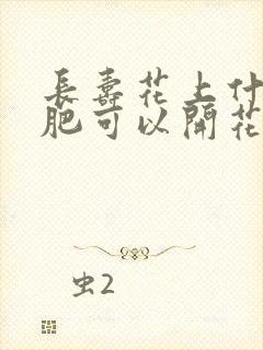 长寿花上什么花肥可以开花