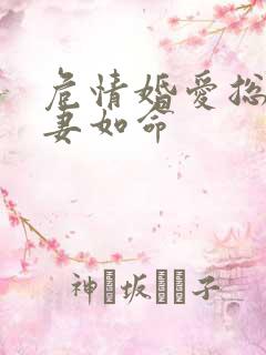 危情婚爱总裁宠妻如命