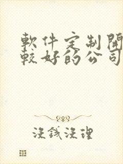 软件定制开发比较好的公司