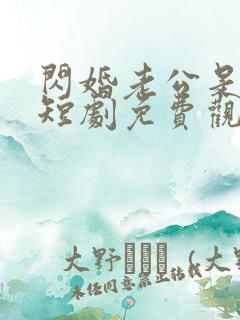闪婚老公是富豪短剧免费观看